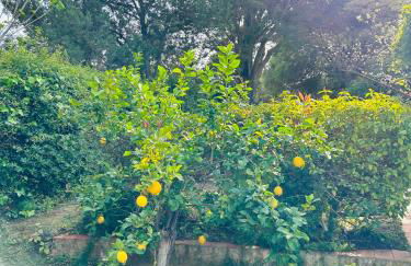 Villa Stella, with garden, five minutes from the beach - Foto 52