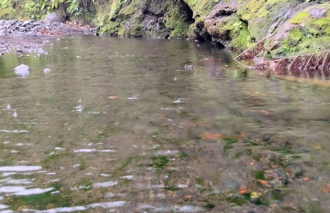 Glowing Mountain view tree house - Foto 53