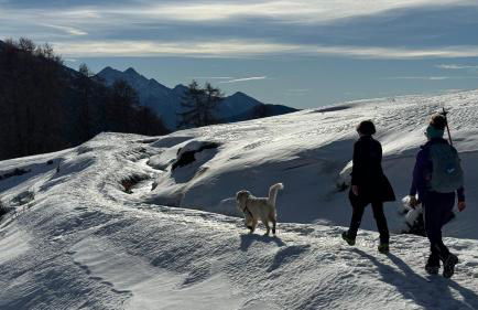 Charming apartment pool, SPA, sauna, CIR VDA - AYAS - 0005- - Foto 44