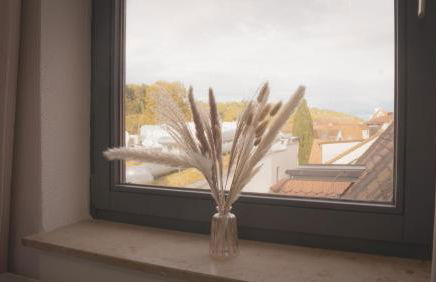 140qm Luxuriöses Penthouse mitten in Schwäbisch Gmünd, 70qm Dachterrasse & Top-Lage, mit WHIRPOOL, Jetzt buchen! - Foto 25