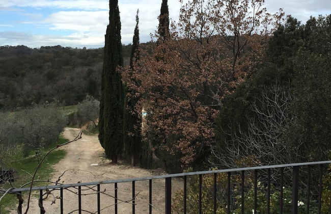 Agriturismo Campo al Crognolo - Photo 25