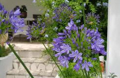 Apartment Srsen - Foto 34