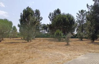 Quinta do Pinheirão - Foto 23