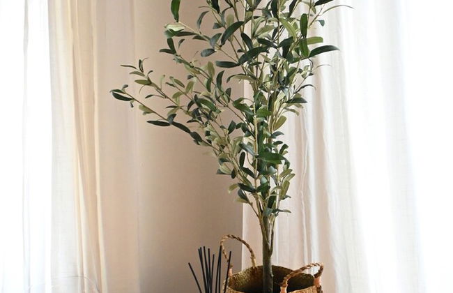 Low Budget Luxury Apartments-3 - Foto 24