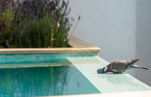 3009 - Luxurious new villa in quiet area in Costa de la Calma - Foto 5