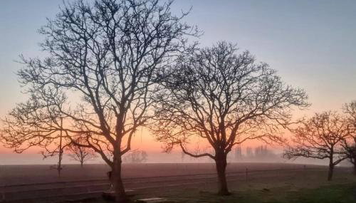 The Tractor Shed at Richborough Farm - Foto 4