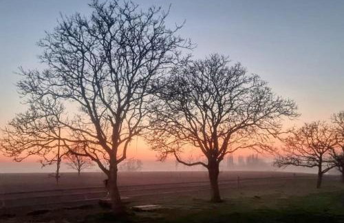 The Tractor Shed at Richborough Farm - Foto 4