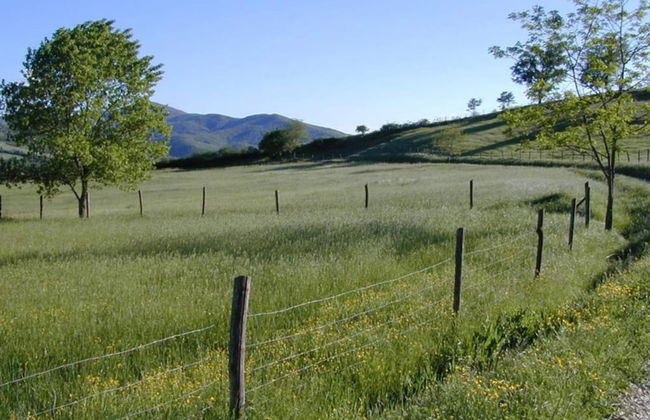 Charming House in Umbria With Pool - Foto 34