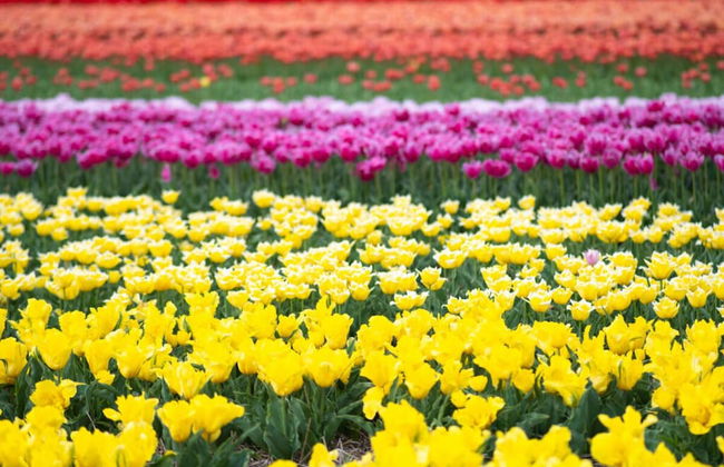 Luxury Home Egmond - Foto 32