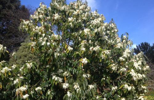 Valle Paraizo - Foto 69