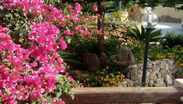 Sa Corte Antiga - Foto 2, Garden