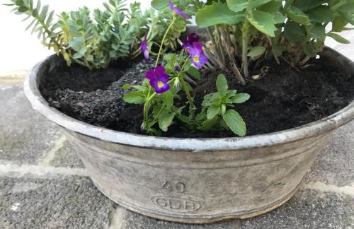 Ferienhaus Riesling - Foto 23