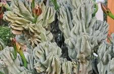 Passione Mare - Foto 48