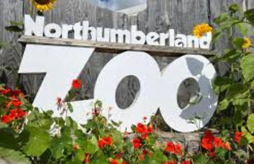 Hunter's Lodge Hot Tub Holiday, Northumberland - Photo 30