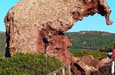 Appartamento residence Tartaruga 3 - Foto 41