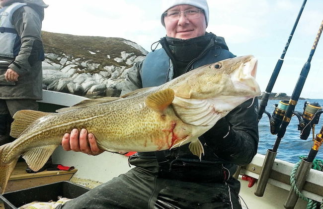 Holiday Home in Urangsvåg - Foto 21