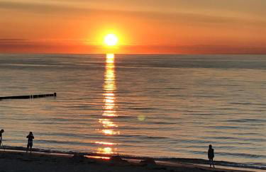 Lieblingsplatz im Küstenwald Graal-Müritz - Foto 21