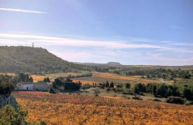 Au coeur des vignes, à deux pas de la mer - Foto 18