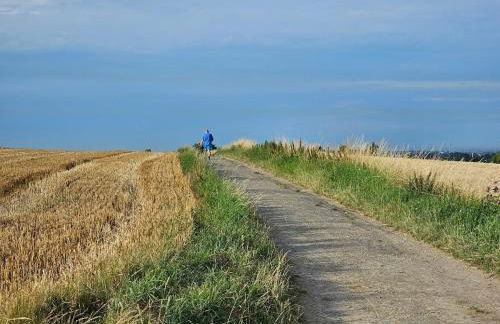 Gartenglück, entspannt wohnen am Obstwanderweg - Foto 46