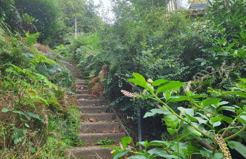 Le Bellevue - Beaux appartements avec vue splendide - Foto 32