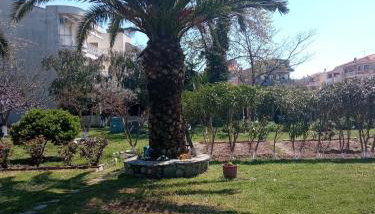 Sofia's Garden - Foto 2, Garden