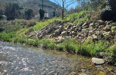 Mesavlia Traditional Stone House - Photo 45