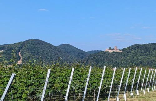 Ferienhaus Rustika - Foto 59