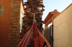 Villa Preciosa - Foto 14