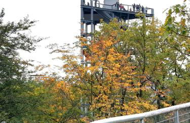 Wald und Wohlsein - Foto 52