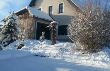 "Heiterer Blick" - Foto 2