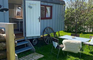 Bei uns im Allgäu - Gästewagen Hoimelig mit Solardusche - Foto 3