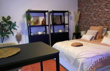 Studio douillet Tout Confort 3 - Wifi - Parking Gratuit - Foto 1