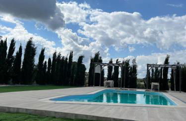 Monte do Carapetal - Foto 24