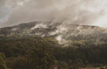 Okno Na Ślężę - Foto 25