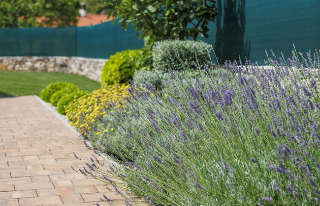 Villa Veli vrt - Foto 28