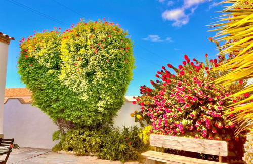 Chalet Duna - Foto 16