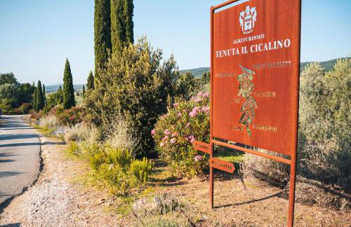 Tenuta Il Cicalino - Foto 20