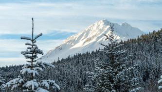 Glacier Creek Cabins - Foto 4