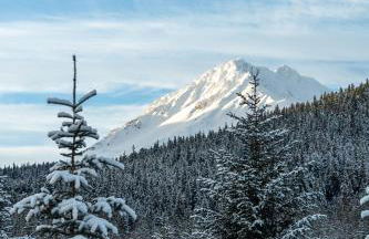 Glacier Creek Cabins - Foto 4