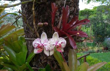 Residencial Flor- Hilda - Foto 31