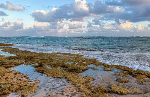 Plantation Hale C1 - Foto 18