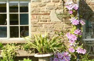 Lavender cottage - Foto 13
