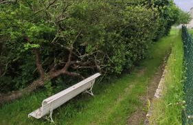 Right between two coast lines - Foto 14