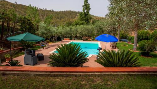 Tenuta Severino - Photo 4, sunbed, Garden view