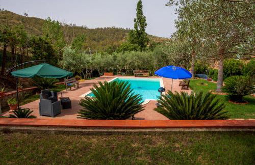 Tenuta Severino - Foto 4