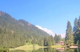 Genziana Apartment - Foto 35