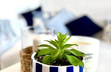 La Necora Lanzarote - Foto 21