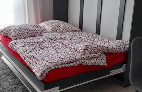 schöne Ferienwohnung am Rande der Altstadt - Foto 7