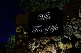 NEW 2023 Villa Tree of Life - Photo 4