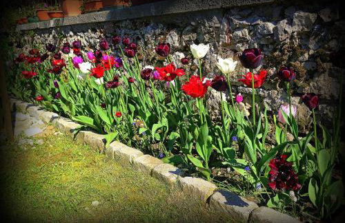 Agriturismo Borgovecchio - Foto 26